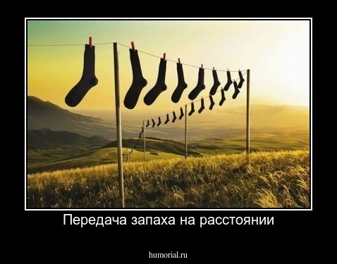 Передача запаха на расстоянии