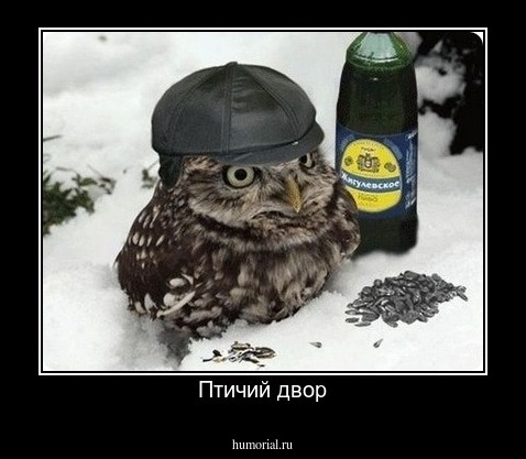 Птичий двор
