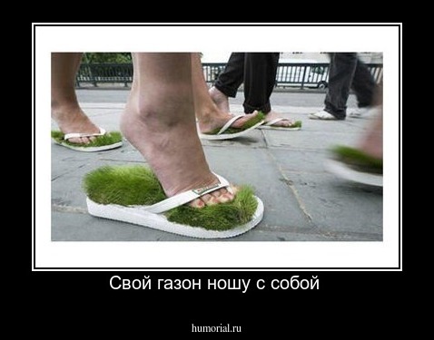 Свой газон ношу с собой 