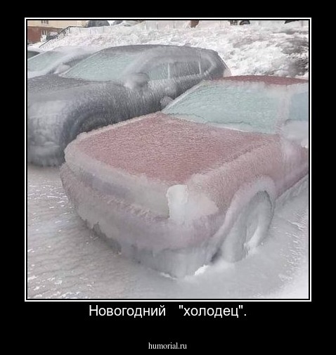 Новогодний   "холодец".