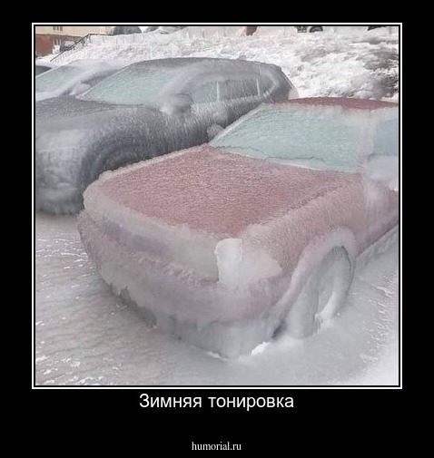Зимняя тонировка