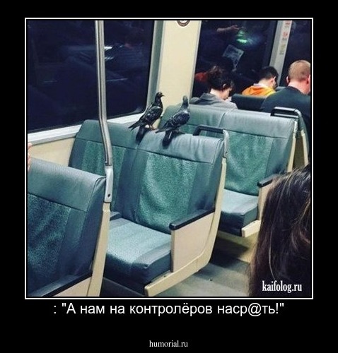  : "А нам на контролёров наср@ть!"