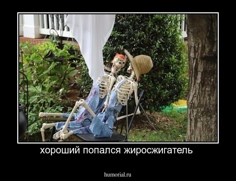 хороший попался жиросжигатель 