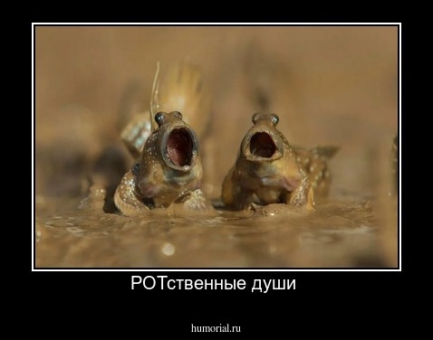 РОТственные души 