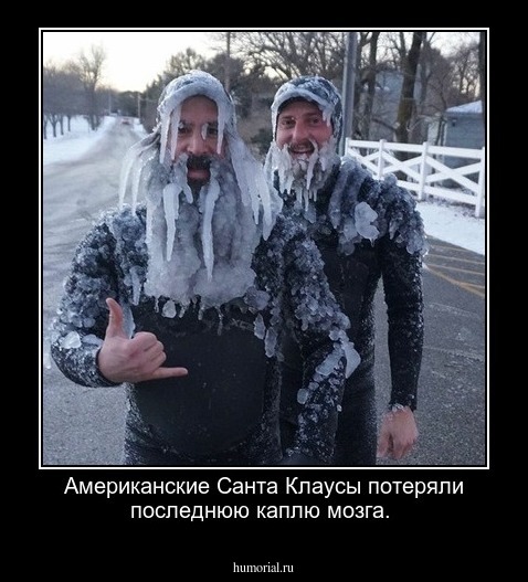 Американские Санта Клаусы потеряли последнюю каплю мозга.