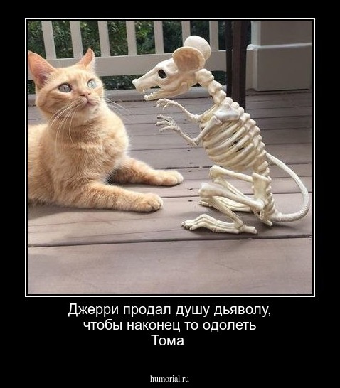 Джерри продал душу дьяволу, чтобы наконец то одолеть Тома 