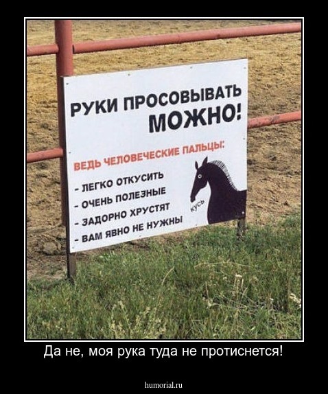 Да не, моя рука туда не протиснется!
