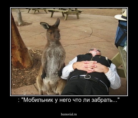 : "Мобильник у него что ли забрать..."