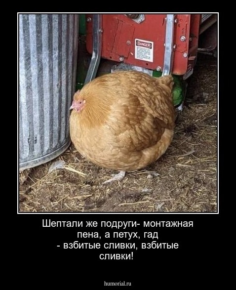 Шептали же подруги- монтажная пена, а петух, гад - взбитые сливки, взбитые сливки!