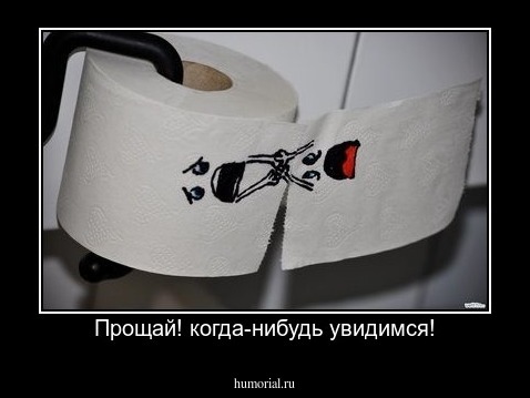 Прощай! когда-нибудь увидимся!