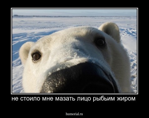 не стоило мне мазать лицо рыбьим жиром 