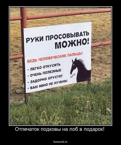 Отпечаток подковы на лоб в подарок! 