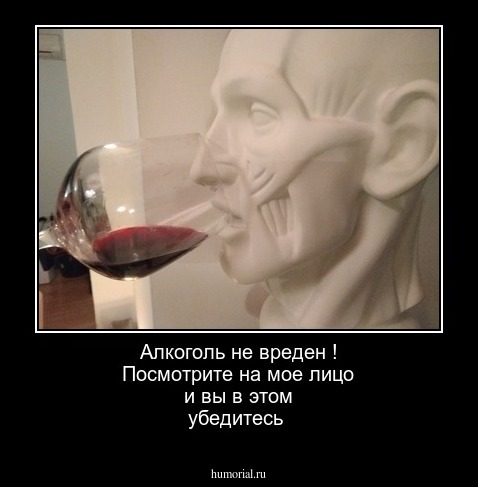 Алкоголь не вреден ! Посмотрите на мое лицо и вы в этом убедитесь 