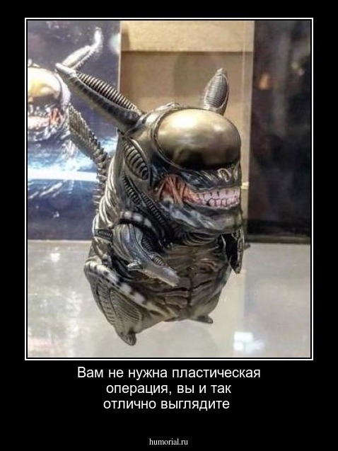 Вам не нужна пластическая операция, вы и так отлично выглядите 