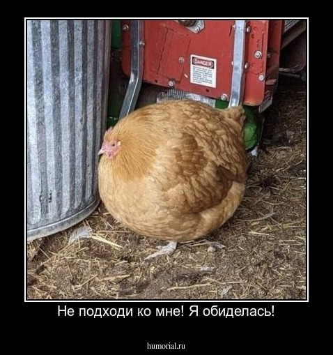 Не подходи ко мне! Я обиделась!