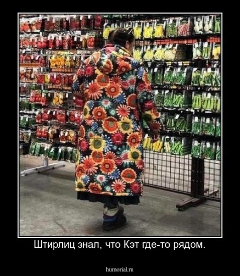 Штирлиц знал, что Кэт где-то рядом.