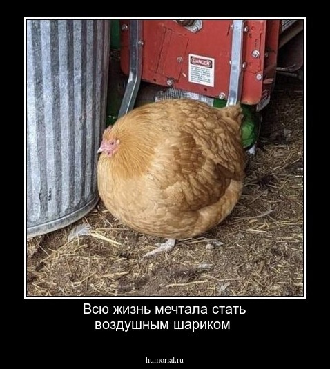 Всю жизнь мечтала стать воздушным шариком 