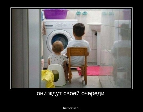 они ждут своей очереди 