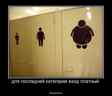 для последней категории вход платный 