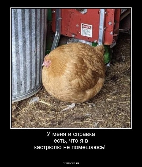 У меня и справка есть, что я в кастрюлю не помещаюсь!