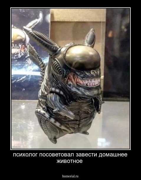 психолог посоветовал завести домашнее животное 
