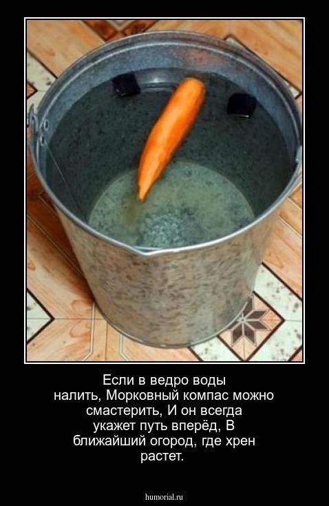 Если в ведро воды налить,
Морковный компас можно смастерить,
И он всегда укажет путь вперёд,
В ближайший огород, где хрен растет.