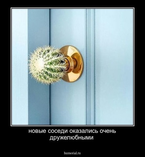 новые соседи оказались очень дружелюбными 