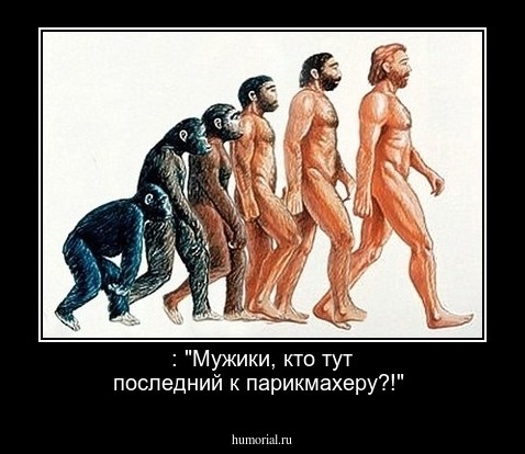 : "Мужики, кто тут последний к парикмахеру?!"