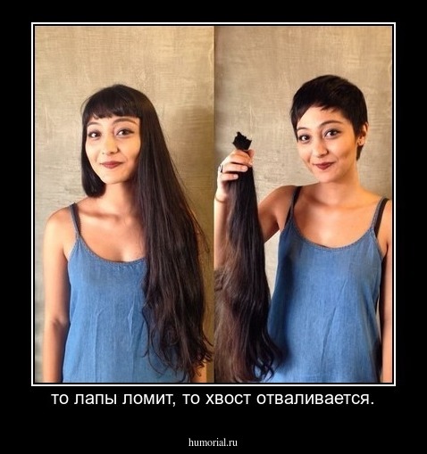то лапы ломит, то хвост отваливается.