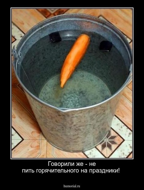 Говорили же - не пить горячительного на праздники!