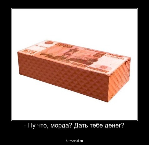 - Ну что, морда? Дать тебе денег?
