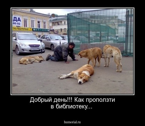 Добрый день!!! Как проползти в библиотеку...