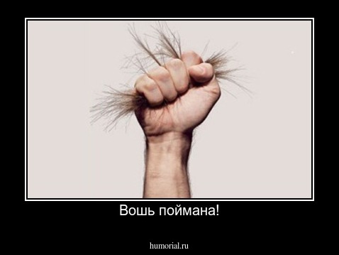 Вошь поймана!