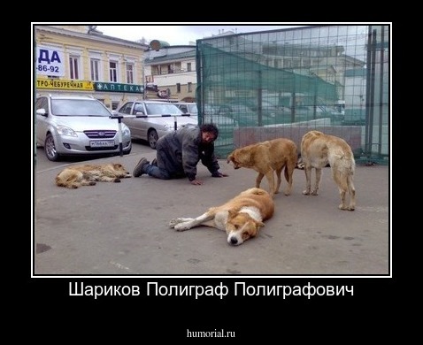 Шариков Полиграф Полиграфович