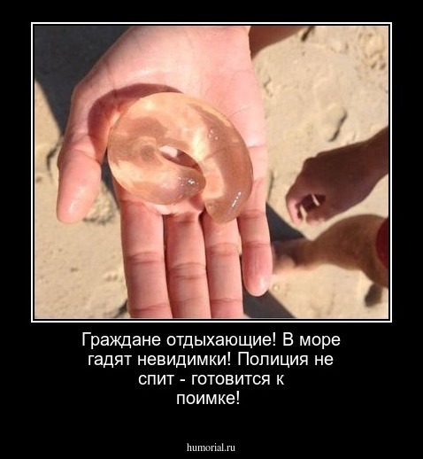 Граждане отдыхающие! В море гадят невидимки!  Полиция не спит -  готовится к поимке!