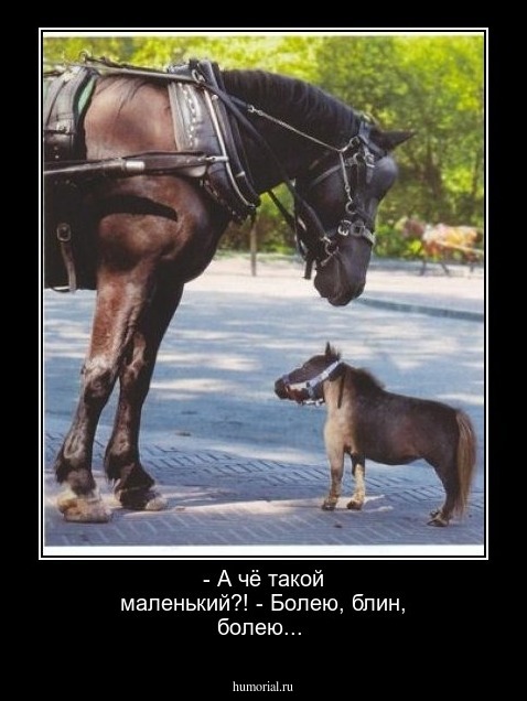 - А чё такой маленький?!  - Болею, блин, болею...