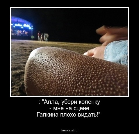 : "Алла, убери коленку - мне на сцене Галкина  плохо видать!"