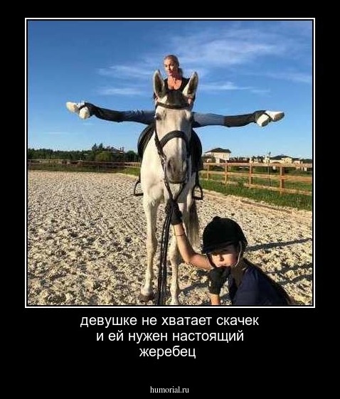девушке не хватает скачек и ей нужен настоящий жеребец 