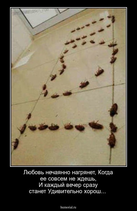 Любовь нечаянно нагрянет,
Когда ее совсем не ждешь,
И каждый вечер сразу станет
Удивительно хорош...