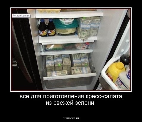 все для приготовления кресс-салата из свежей зелени
