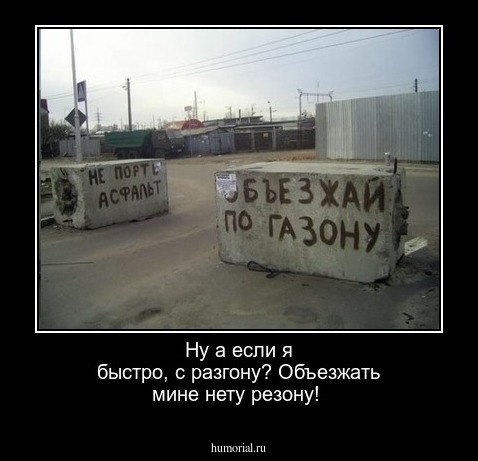 Ну а если я быстро,  с разгону?  Объезжать  мине нету резону!