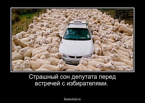 Страшный сон депутата перед встречей с избирателями.
