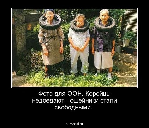 Фото для ООН. Корейцы недоедают - ошейники стали свободными.
