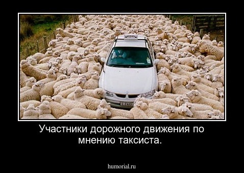 Участники дорожного движения по мнению таксиста.