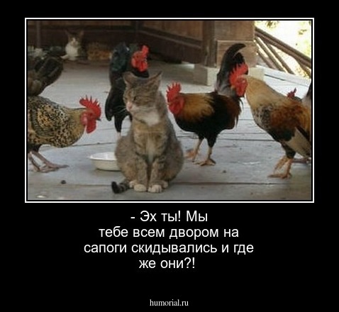 - Эх ты! Мы тебе всем двором на сапоги скидывались и где же они?!