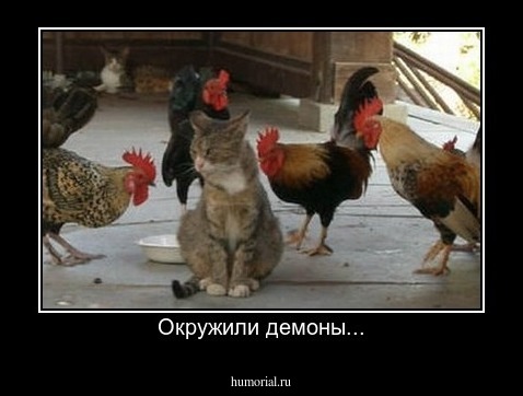 Окружили демоны...