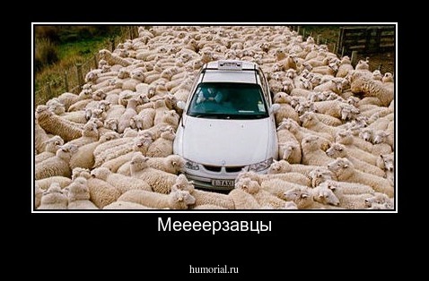 Меееерзавцы