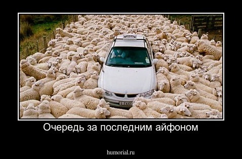 Очередь за последним айфоном