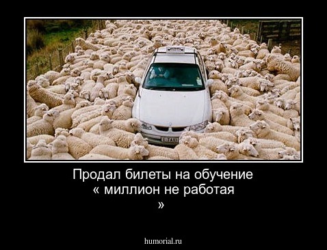 Продал билеты на обучение « миллион не работая  »