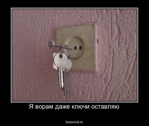 Я ворам даже ключи оставляю